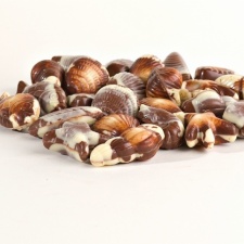 Bonbons en chocolade